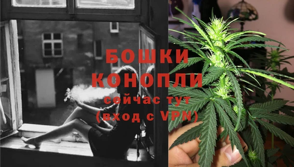 ГАЛЛЮЦИНОГЕННЫЕ ГРИБЫ Волоколамск