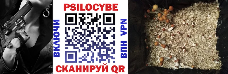 Купить закладки  Протвино  Псилоцибиновые грибы GOLDEN TEACHER 
